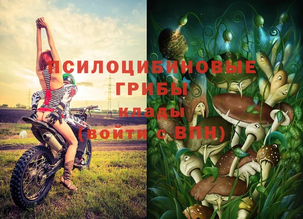 таблы Верхний Тагил
