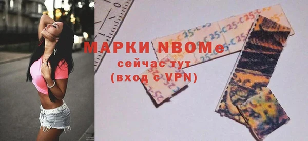 ГАЛЛЮЦИНОГЕННЫЕ ГРИБЫ Верея