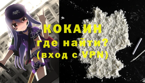 ГАЛЛЮЦИНОГЕННЫЕ ГРИБЫ Верея