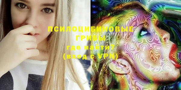 ГАЛЛЮЦИНОГЕННЫЕ ГРИБЫ Верея