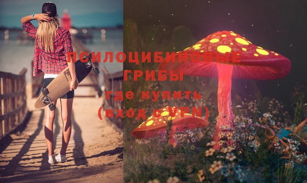ГАЛЛЮЦИНОГЕННЫЕ ГРИБЫ Верея