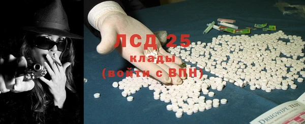 ГАЛЛЮЦИНОГЕННЫЕ ГРИБЫ Верея