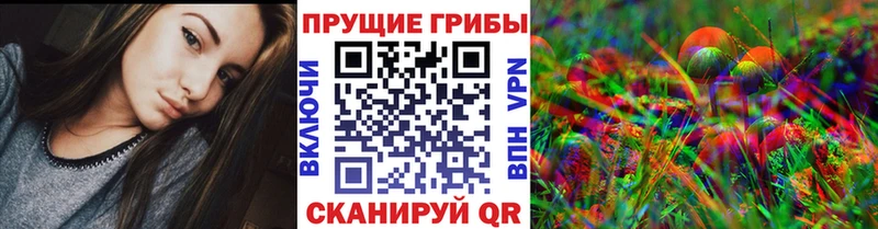 Купить закладки  Топки  Псилоцибиновые грибы мицелий 